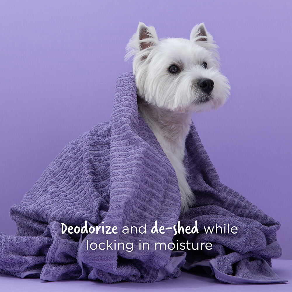 CHI Vibes For Dogs 5 in 1 Shampoo and Conditioner | CHI Haircare